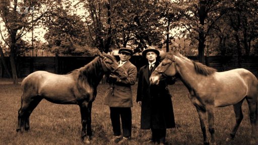 TVP Rzeszów: Lesní koně