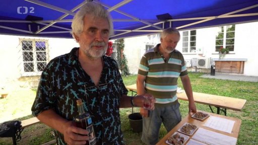 Festival národů Podyjí