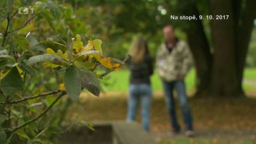 Případ vyřešený diváky pořadu Na stopě - ukázka