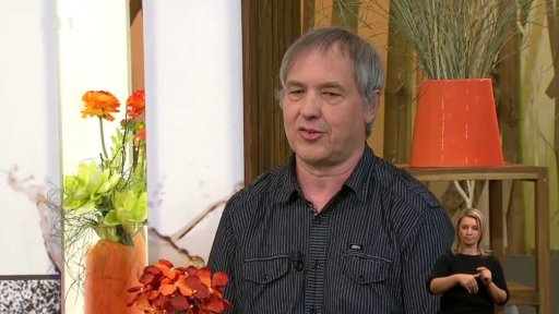 Homeopatická léčba hyperaktivních dětí