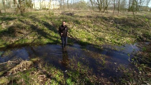 Postřik proti komáří kalamitě