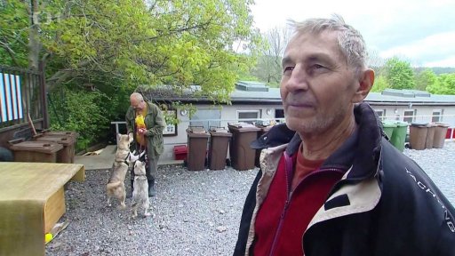 Nové domovy pro týrané psy