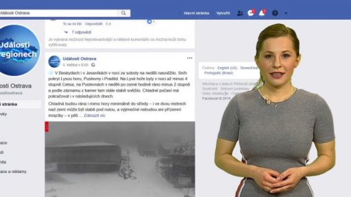 Přehled sociálních sítí