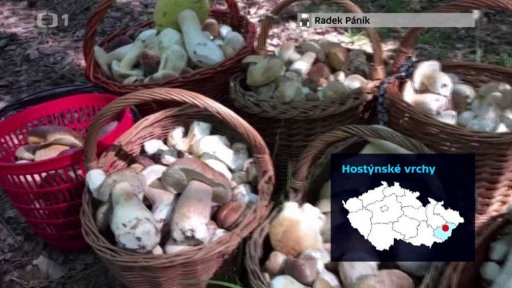 iReportér + soutěž