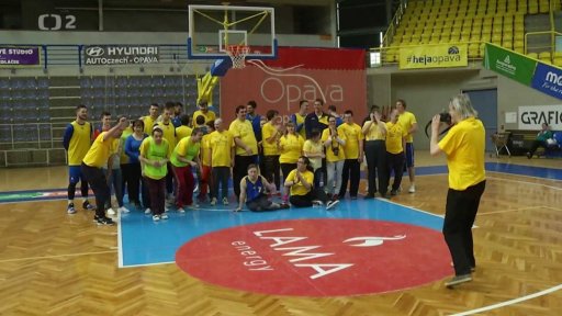 Sociálně terapeutická dílna Radost