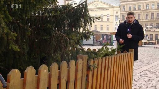 Svoz vánočních stromků