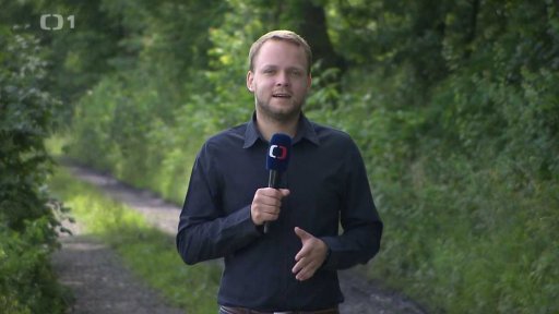 Komáří kalamita v Poodří