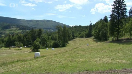 Rožnov řeší potíže s vodou