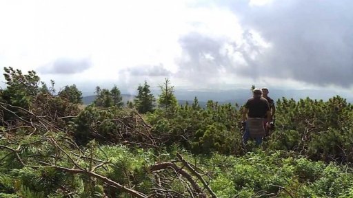 Vrtulník odváží kleč v Jeseníkách