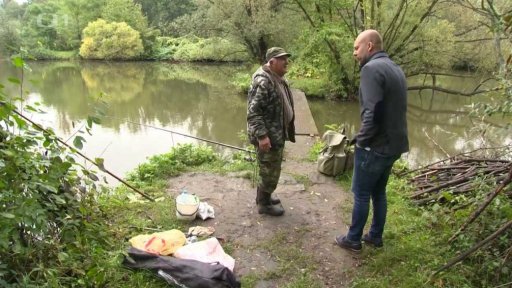 Otrava ryb v Bečvě