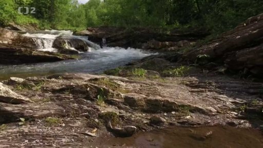 ČT Ostrava: Ichtyolog z Beskyd