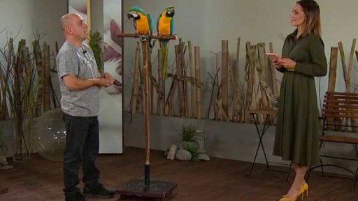 Chováme papoušky, 1. část