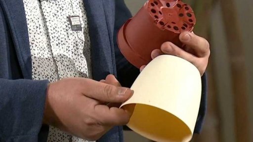 Péče o pokojové rostliny, 2. část