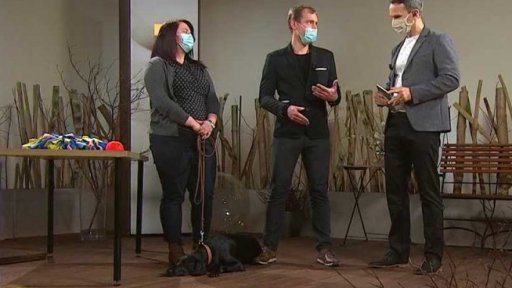 Kdy na veterinu?, 1. část