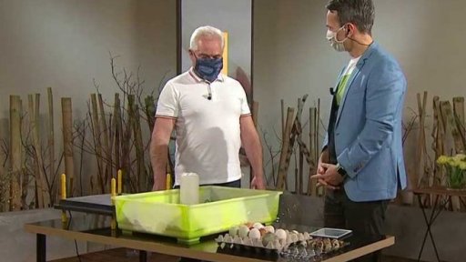 Chov drůbeže, 1. část