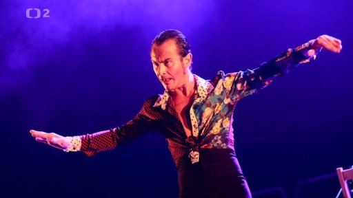 Colores flamencos 2020