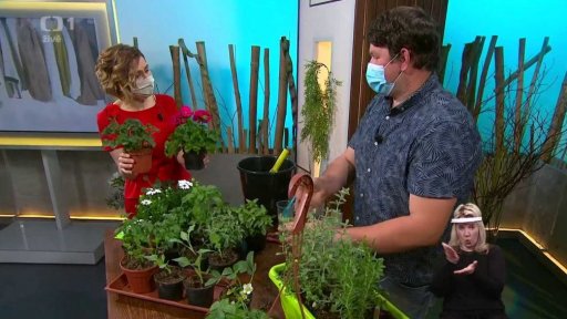 Duben na zahradě - 3. část