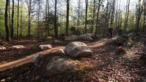 Rychlebské traily a lomy