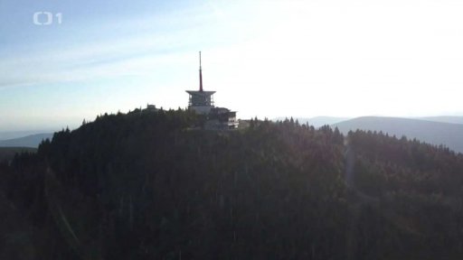 Odpadky v přírodě ohrožují zvěř