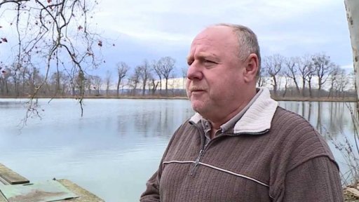 Rybáři mají problém s kormorány