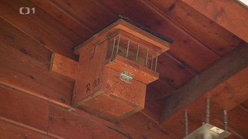 Ptačí budky ve městě