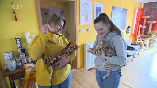 Uprchla i s chovnou stanicí koček