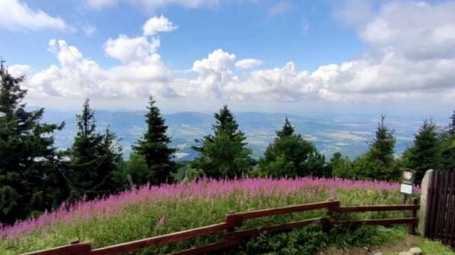 Počty turistů v MS kraji stoupají