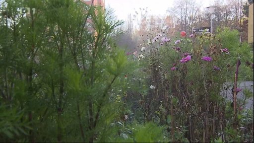 Kosení květinových luk