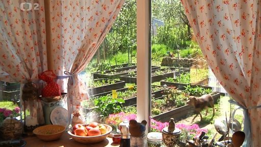 RTVS Košice: Bylinková škola