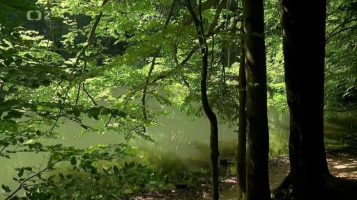 TVP Rzeszów: Rezervace lesních jezer