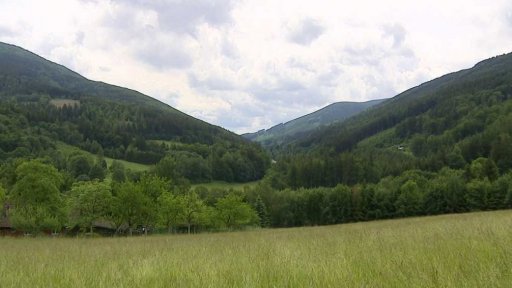 ČT Ostrava: Lesní klub Jasánek