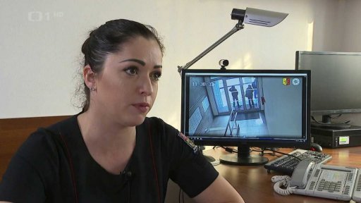 Žhář ze Sokolovské