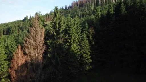 50 let od vzniku CHKO Beskydy