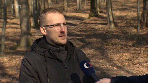 Další útok vlků v Beskydech