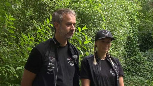 Letní úrazy na kolech