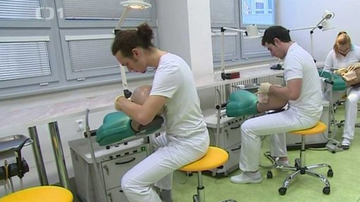 Přijímací řízení pro obor stomatologie