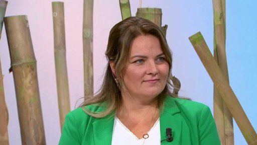 Jak naplánovat svatbu, dekorace stolu - 1. část