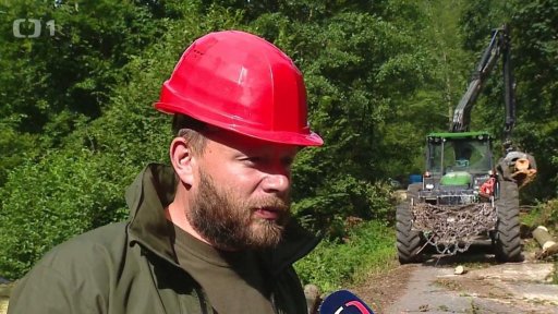 Likvidace následků větrných smrští v lesích
