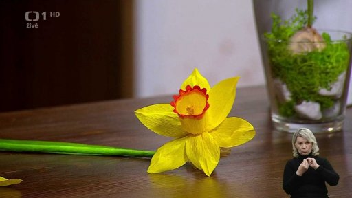 Květiny z papíru - 2. část