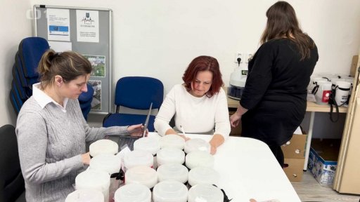 Sčítání Tříkrálové sbírky