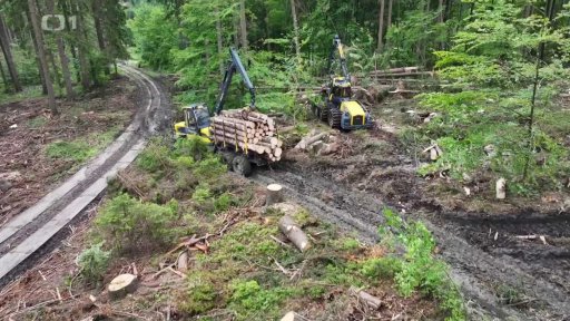 Zákaz vstupu do lesů na Jablunkovsku