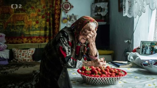 Projekt Adoptujsi.cz