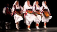 Srbský kulturní spolek Radost
