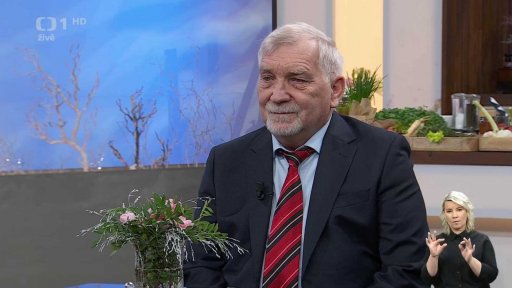 Zubní pohotovost - novinky v zubní péči