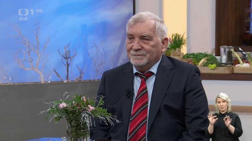 Zubní pohotovost - novinky v zubní péči - 1. část