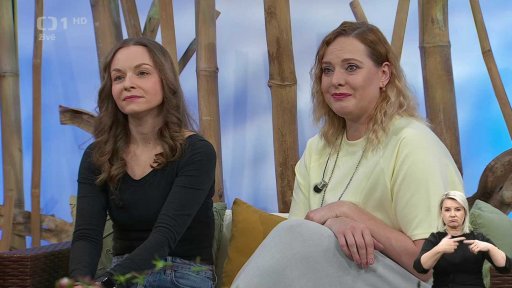 Tak se nám stalo - muzikál NDM