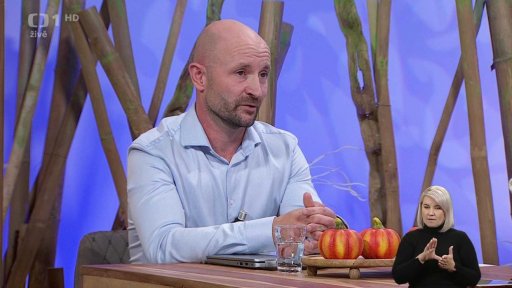 Zdraví vlasů a vlasové pokožky - 2. vstup