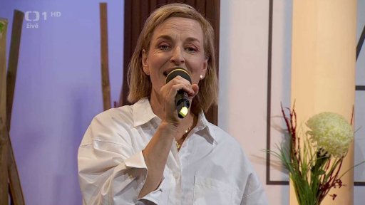 Tereza Richtrová - 2. vstup