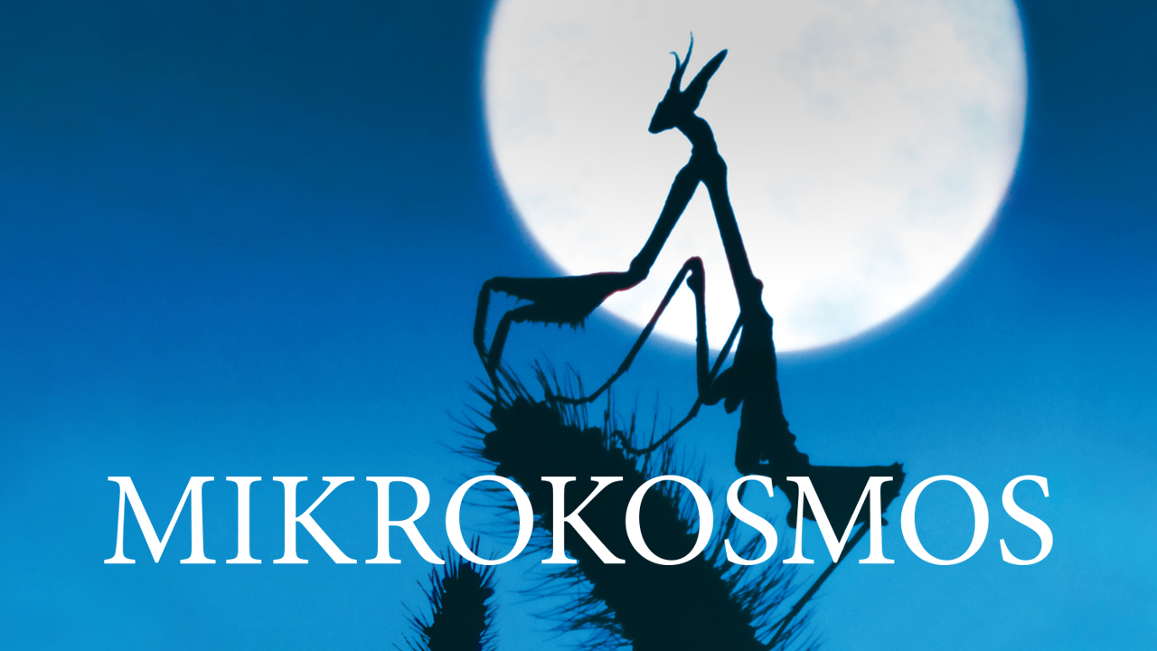 Mikrokosmos