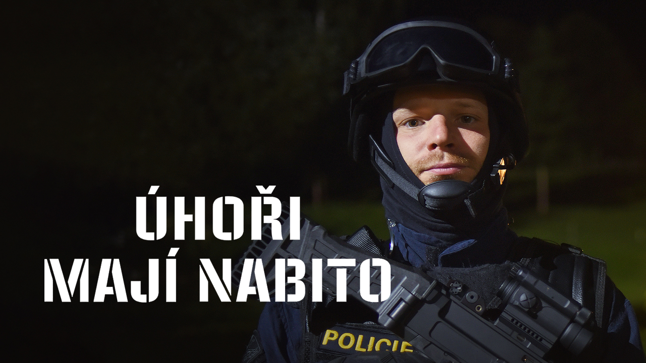 Úhoři mají nabito